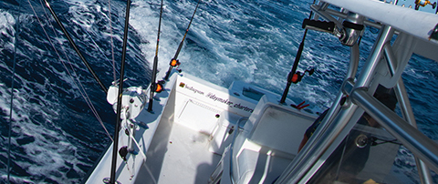 Tigress Outriggers & Gear